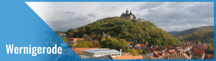 Bewerben beim Mitteldeutschen Lerninstitut Standort Wernigerode Nachhilfelehrer:in in Wernigerode